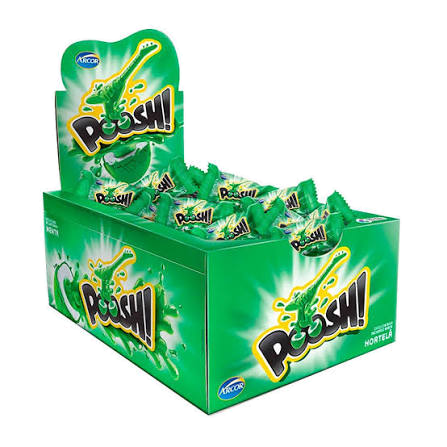 Chiclete Poosh Hortelã 5g c/40un